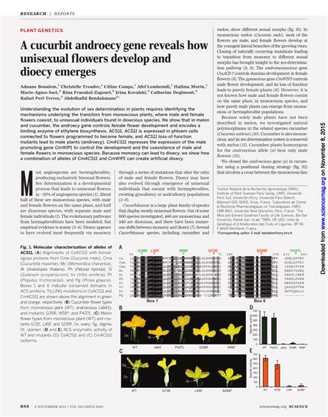 celine camps|A cucurbit androecy gene reveals how unisexual flowers.